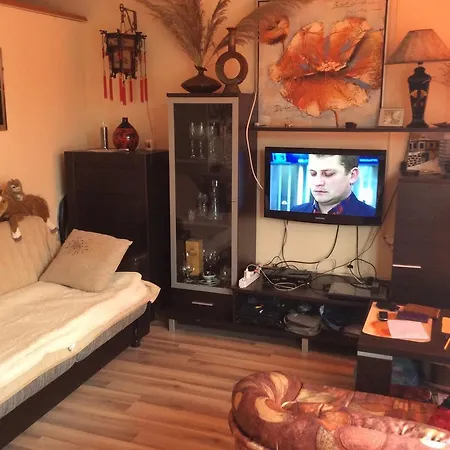 Domashnyaya Studio דירה *