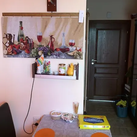 Domashnyaya Studio * 索佐波尔